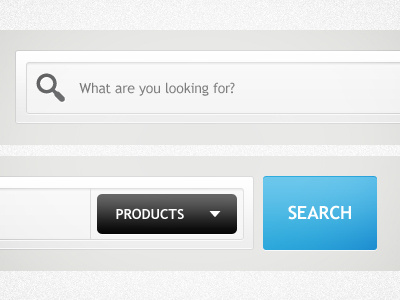 Loooooooong Search Bar design ui website