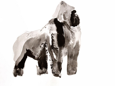 Silverback drawing ink gorilla illustration india ink ink wash pencil