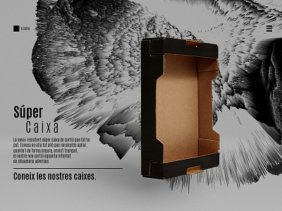 Súper Caixa. almeria barcelona black box brave caixa crate photography responsive web