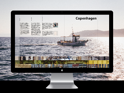 a website about Denmark copenhagen denmark design gallery home page landing page mac modern nature website