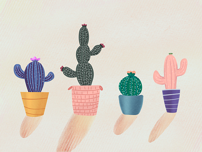 Cactuses