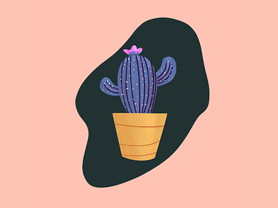 Cactus no 2 illustration plant drawing