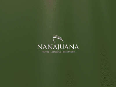 New Year - Nanajuana after effects animation branding invitation motion graphic social network