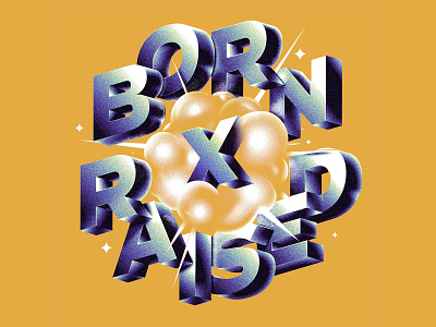 BORN X RAISED artdirection design illustration lettering logo type typography