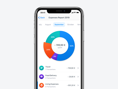 Expenses Report Exploration