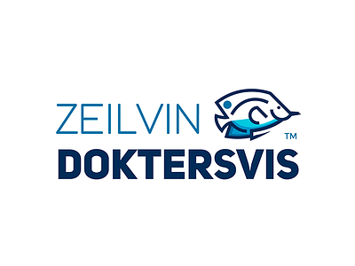 ZEILVIN branding color concept design graphic illustration illustrator logo typography vector