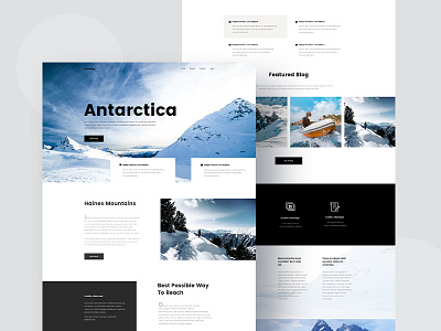 Travel Blog antarctica travel blog