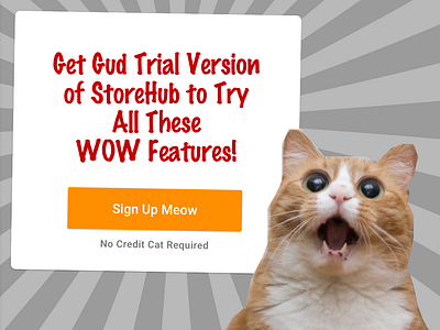 Rejected A/B Test cat meow popup design signup