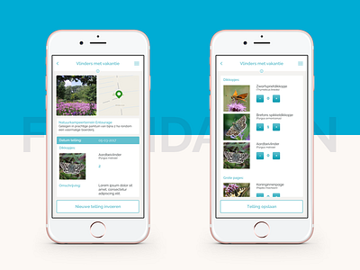 Butterfly Foundation Smartphone App app design ui ux webapp website