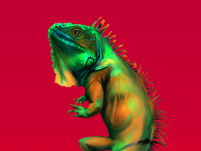 Iguana