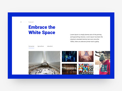 Embrace the White Space blue dailyui dashboard design dashboard ui landing page ui uidesign ux white whitespace