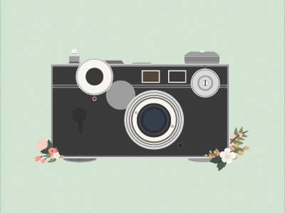 Wedding Program - Camera Illustration