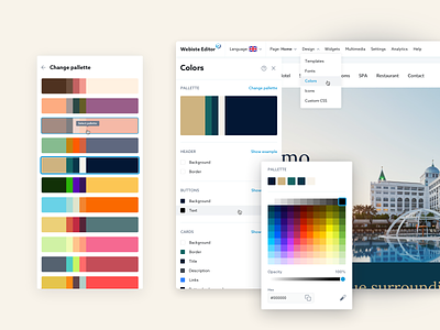 Website Editor. Manage colours