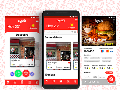 Concpeto para la app "Degusta"