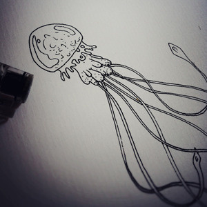 The sting black white drawing illustration jellyfish pen ink
