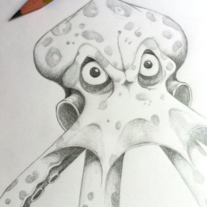 An angry octopus animal black white cephelapod drawing illustration octopus pencil sketch