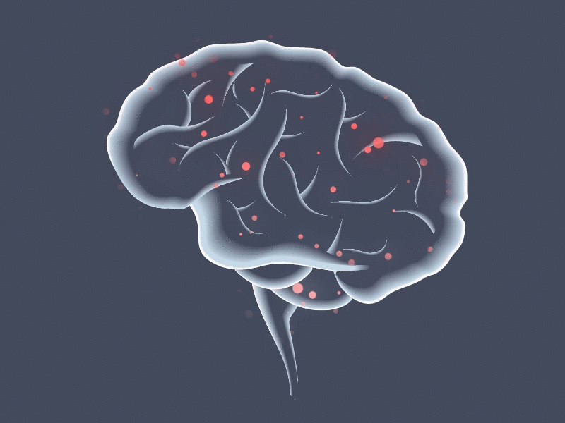 Brain particles 2danimation 36daysoftype aftereffects animation blue brain design illustrator network particles particleworld red scan xray