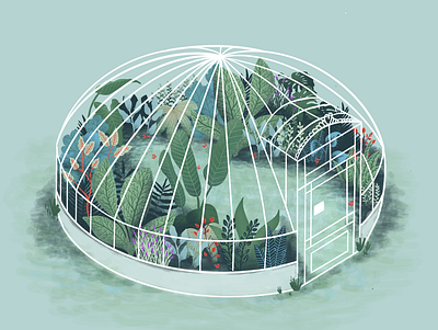 Greenhouse apple pencil illustration ipad