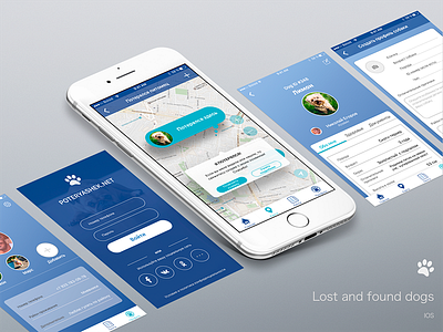 Mobile app to find your dog app app design app for dogs blue palette design dog mobile app new concept sketch ui kit