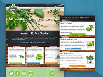 Homepage design for Retail Produce Company