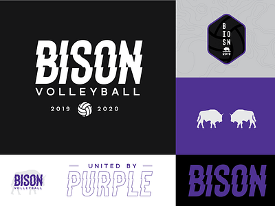 Concepts for Bison Volleyball