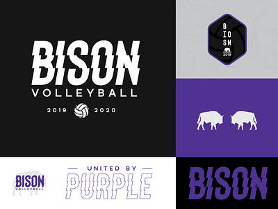 Bison Volleyball Concepts bison black branding charcoal gery heathered grey purple school branding sports sports branding sportswear stacked type type type inspiration typography volleyball