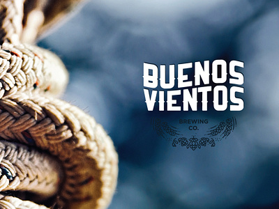 Buenos Vientos beer beer art beer branding beer can beer label