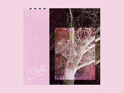 Small Single Cover - Jackie Lune album art album artwork album cover artsy design graphic design homemade
