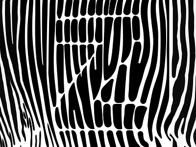 "Z" is for Zebra animal art design pattern pop print typography z zebra