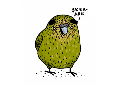 I just love the Kakapo. ♥️