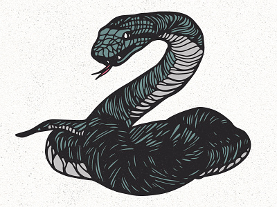Serpentes animals art creatures design illustration ipad pro snake tattoo vector