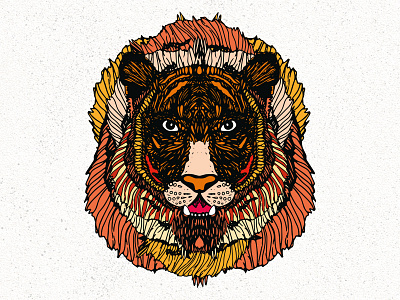 Panthera leo animals art creature design illustration lion vector