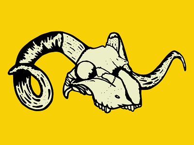 Ram's Skull animal art design graphic illustration skulls