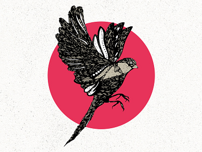 Free Bird animals art birds design illustration japan