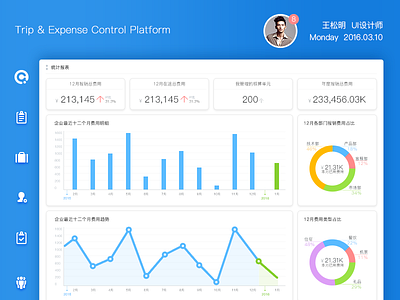 Trip Expense Control Platform app data design graphic interface stock system ui user