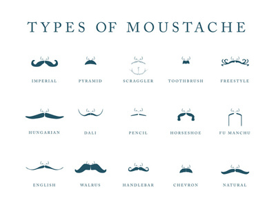 Types of Moustache moustache styles types