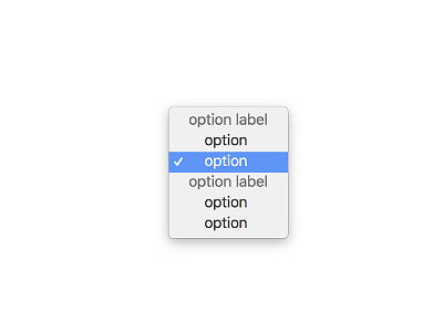 Optgroup Tag 4 brutal html internet label labels minimal option options the