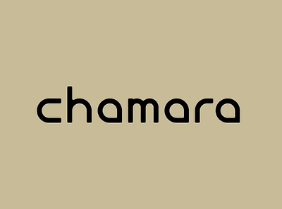 Chamara Design Studio Logo brand design brand identity branding design firm logo minimal simple typogaphy visual identity