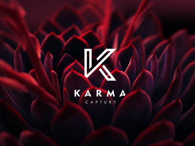 Karma Capture - Logo Mark