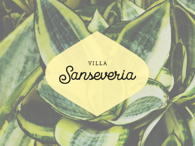 Villa Sanseveria design lettering logo sanseveria vacation house villa