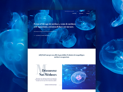 Jellyfish homepage blue homepage interface jellyfish one page ui water