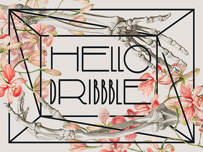 Hello Dribble bones collage flowers hands hellodribbble skeleton