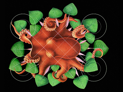 OSCULUMS collage leaves linear memoryshapes octopus osculums