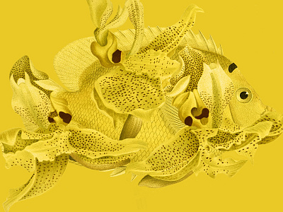 Yellow collage fish flowers yellow