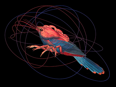 into you art bird collage crab creature love mimicry someone symbiosis