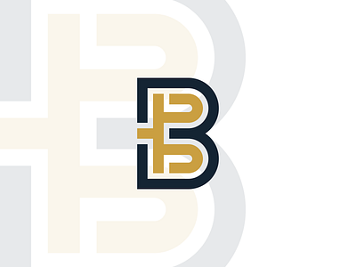 B Letter Logo Design! b design letter logo monogram