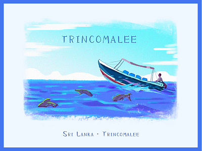 Trincomalee boat dolphin lanka sea sri