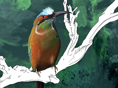 Bird On A Stick bird colorful digital illustration raster wildlife