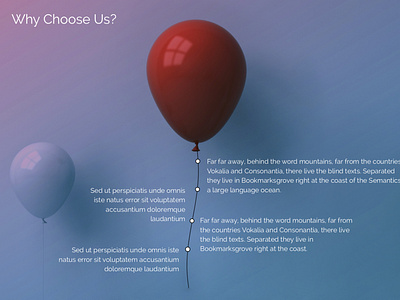 Presentation Slide - Why Choose Us?