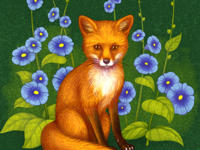 Fox Illustration design digital fox illustration pencil